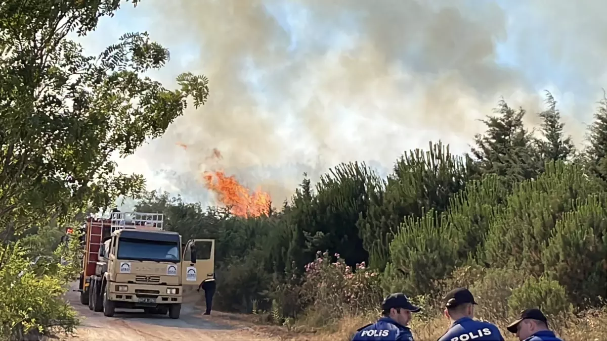 Gebze'de Ağaçlık Alanda Yangın Çıktı