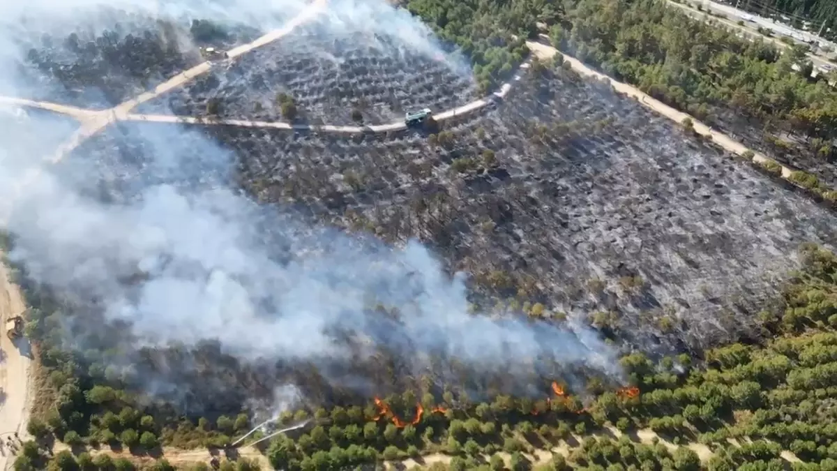 Kocaeli'de Yangın Kontrol Altına Alındı