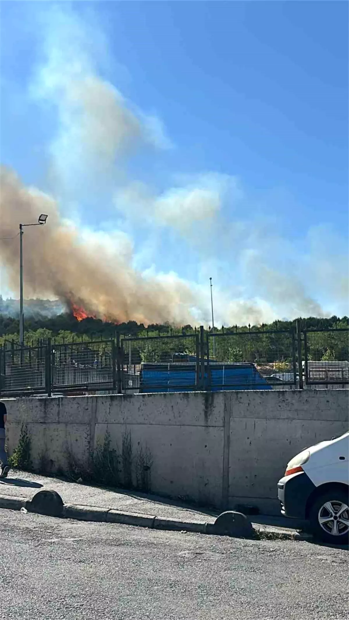 Kocaeli'de orman yangını çıktı