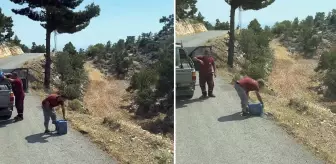Pes dedirten duyarsızlık! Ciğerlerimizi yakan yangınlar işte böyle çıkıyor