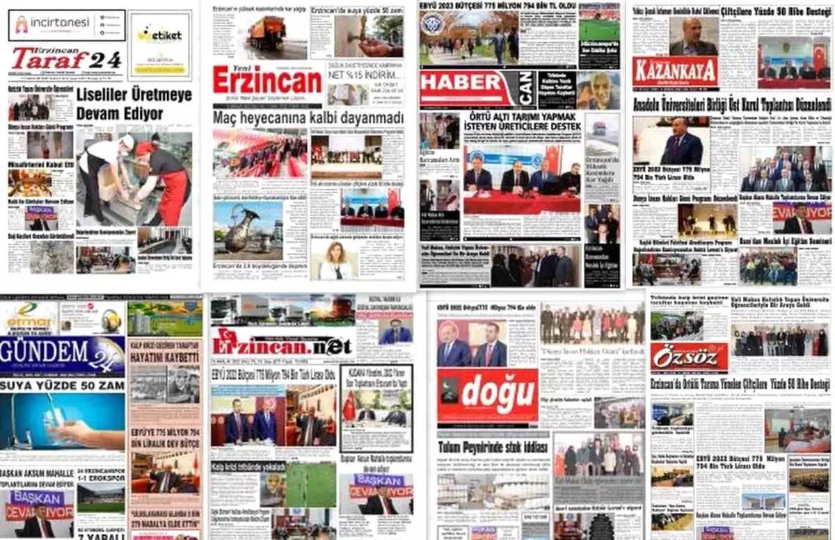 Resmi İlan Yayımlayan Gazete Sayısı 2024'te Yüzde 11,9 Azaldı