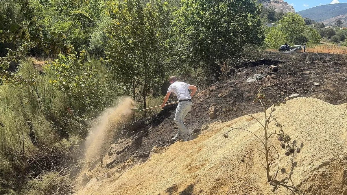 Pamukova'da Dere Kenarındaki Yangın Ormana Sıçradı