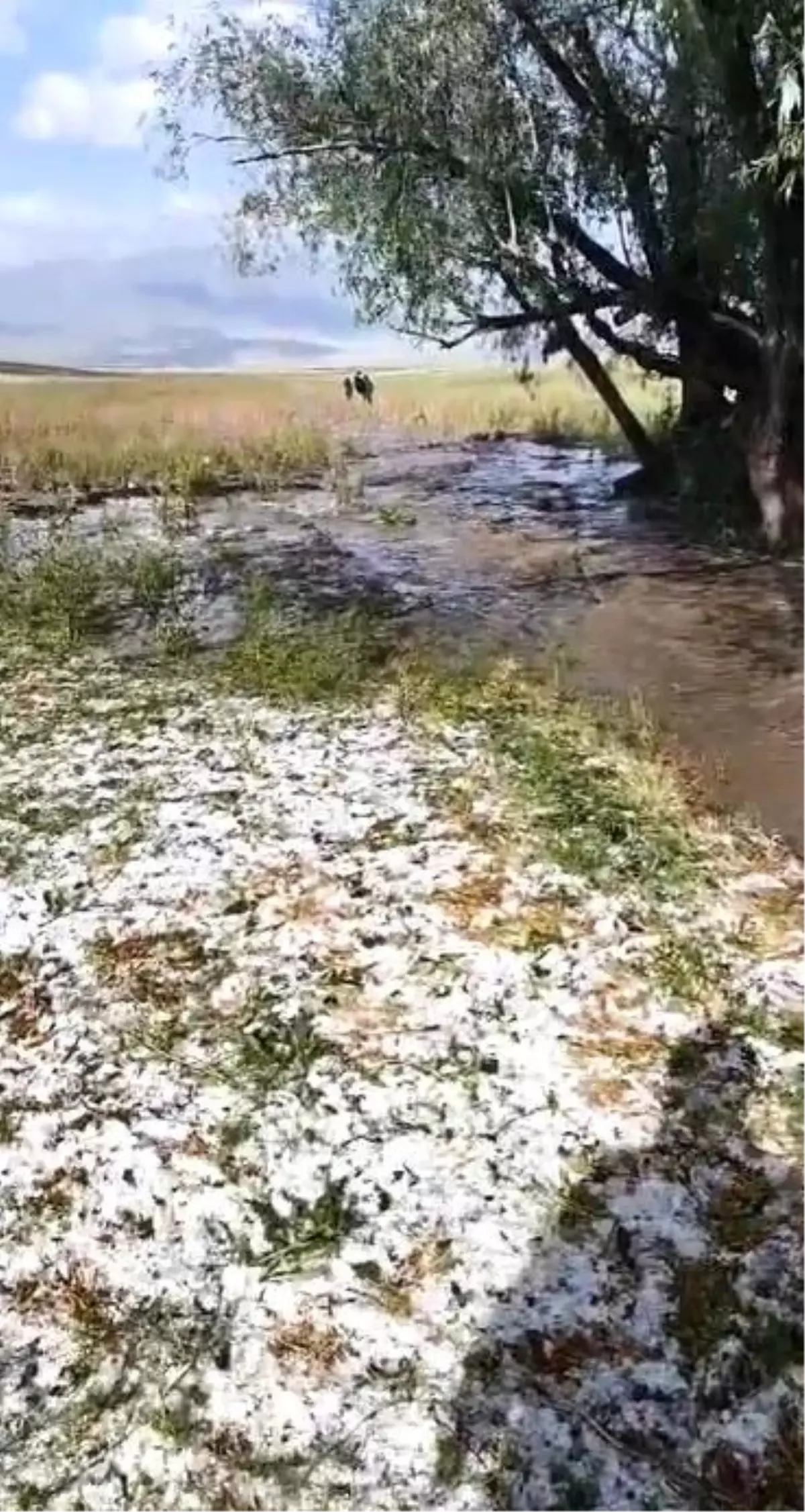 Sarıkamış'ta Dolu ve Sağanak Yağmur Sel Getirdi