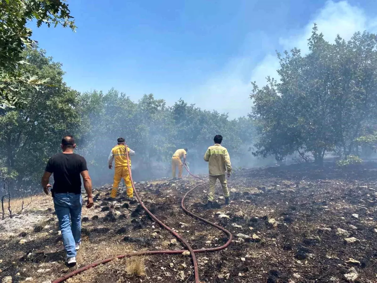 Eskişehir'de Orman Yangınına Müdahale Devam Ediyor