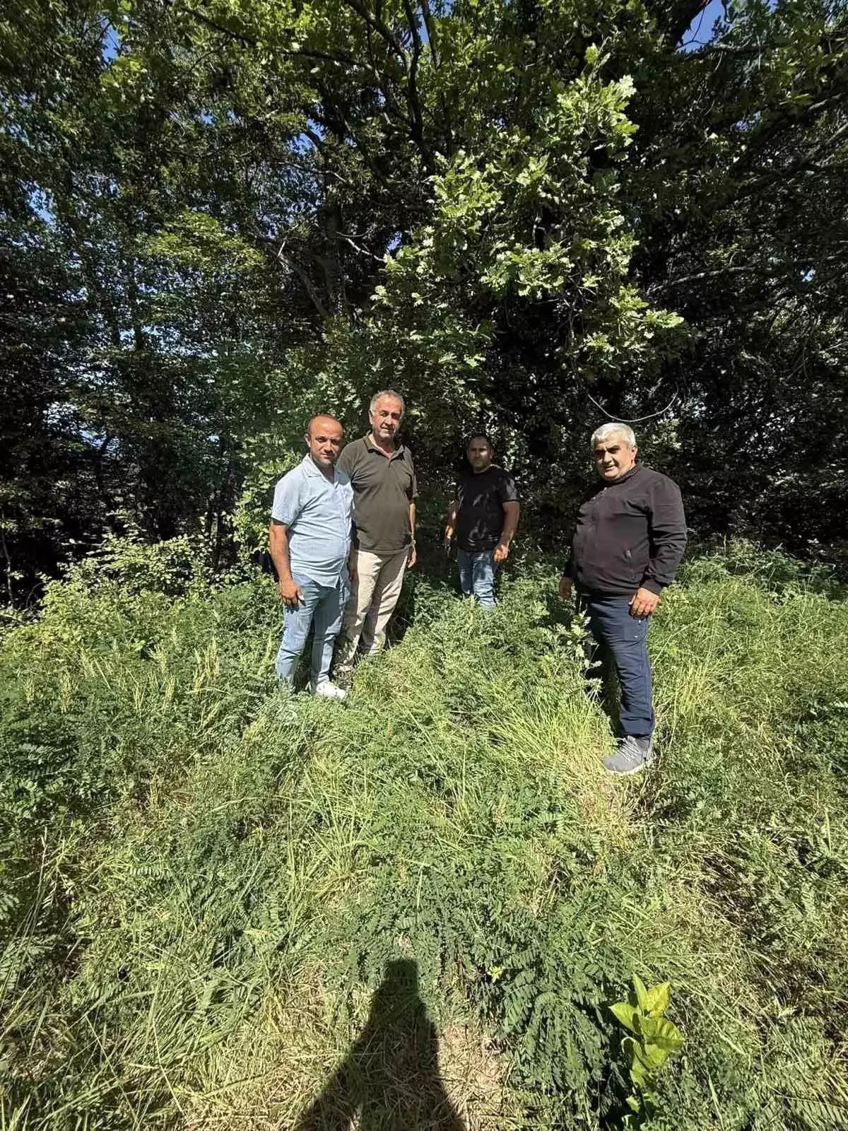 Sinop'un Kırsal Bölgelerine Verici Baz İstasyonu Müjdesi