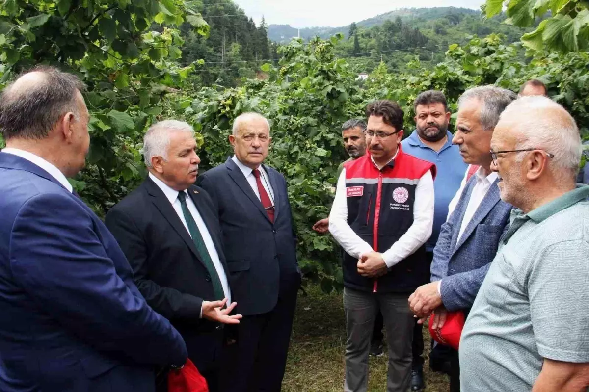 Trabzon Valisi: Fındık Üretimi Ek İş Olarak Görülmemeli