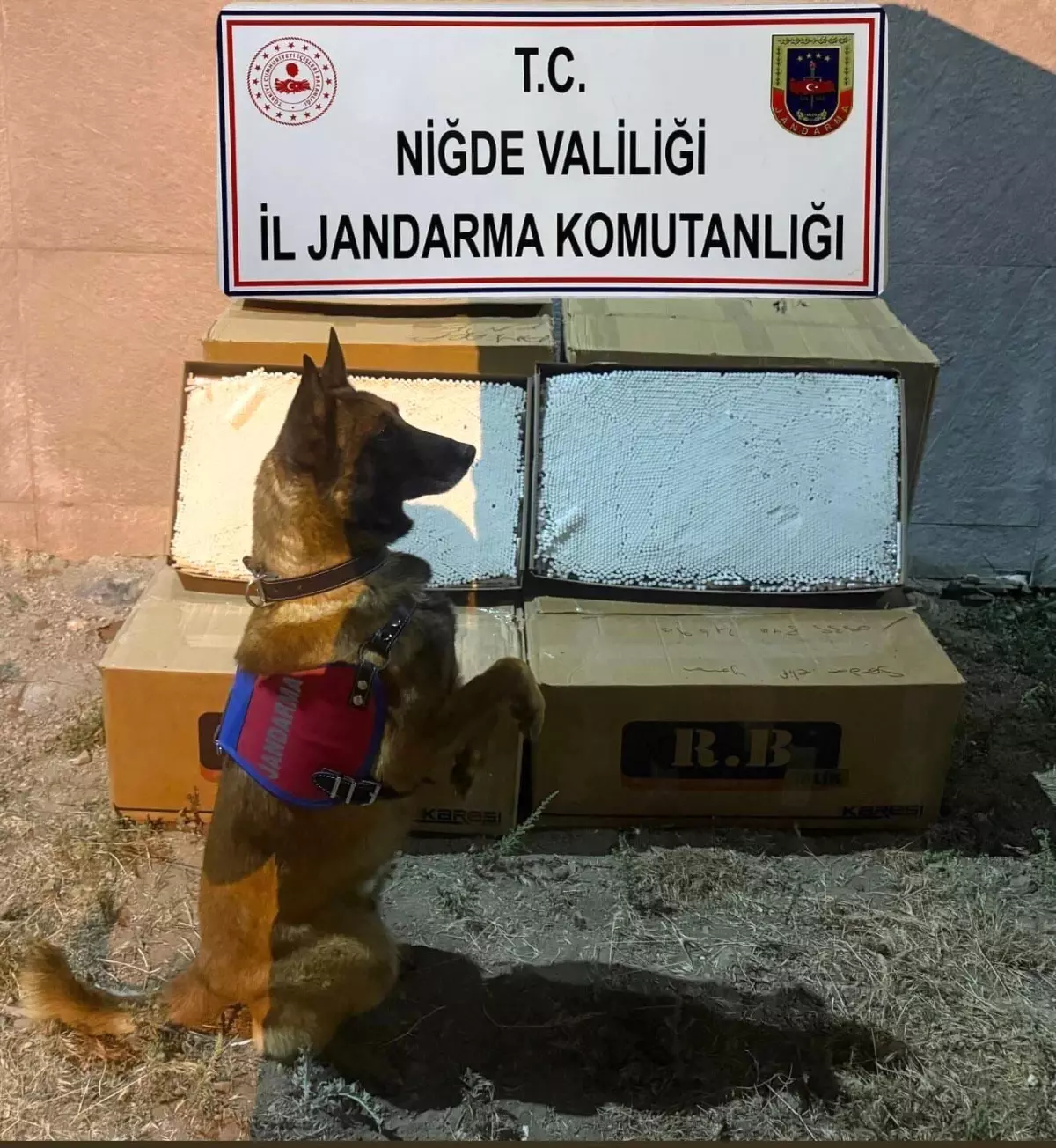 Niğde'de Yolcu Otobüsünde 100 Bin Adet Kaçak Makaron Ele Geçirildi
