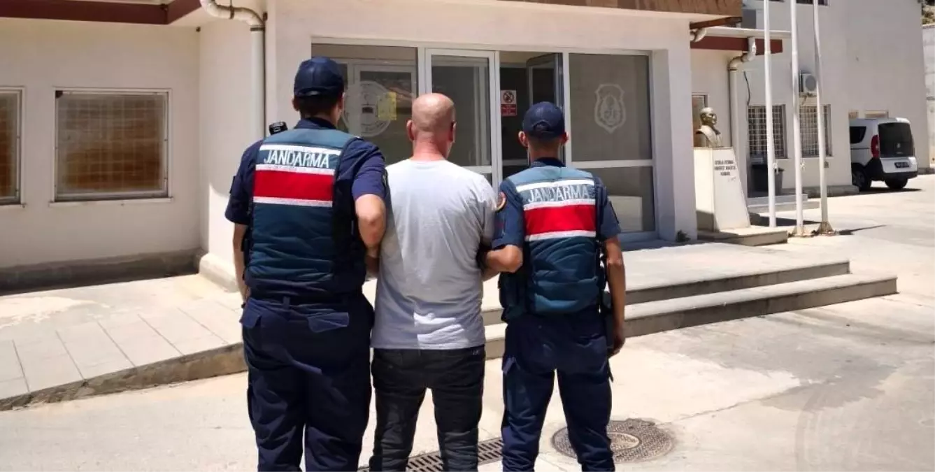 Aydın'da Jandarma Operasyonu: 4 Aranan Şahıs Yakalandı