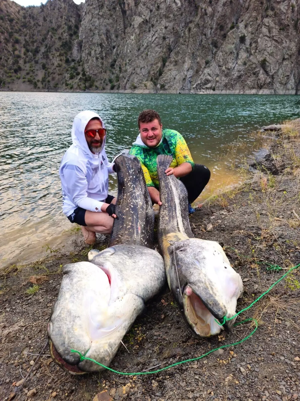 Artvin'de Amatör Balıkçılar 100 Kilo Ağırlığında İki Yayın Balığı Yakaladı