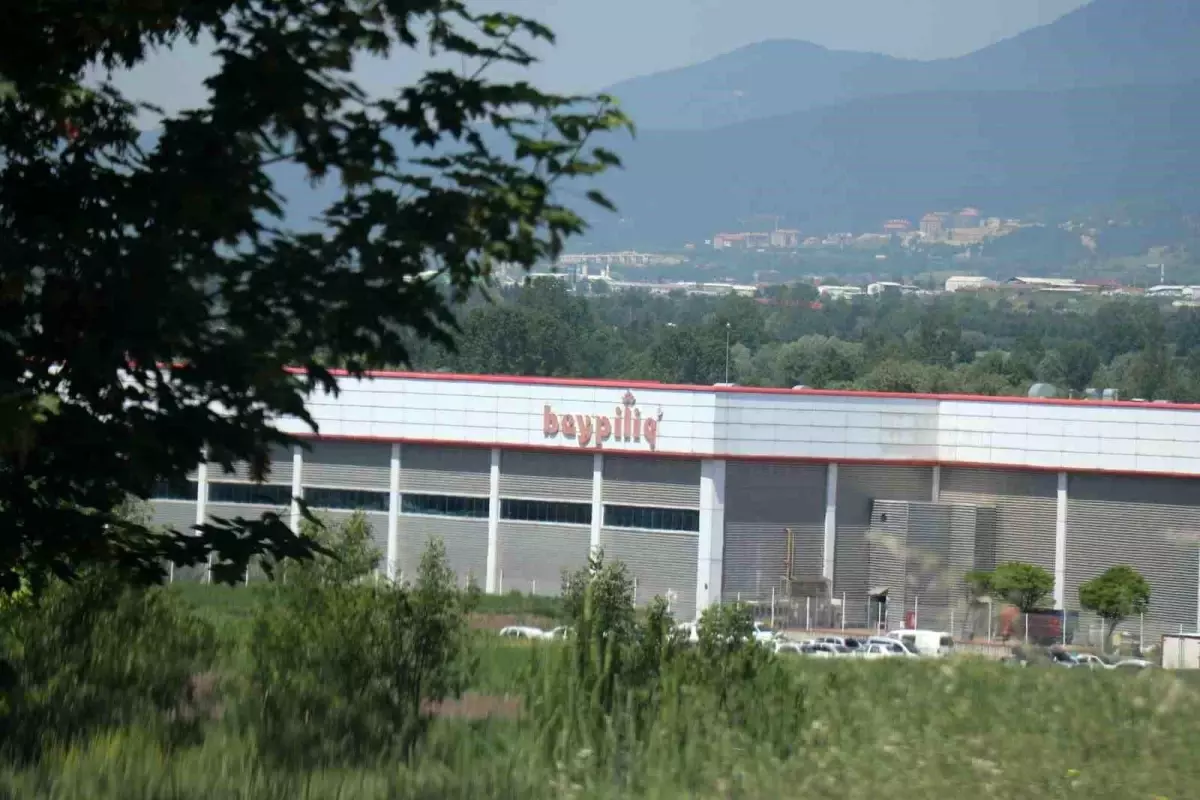 Bolu'da Beypiliç Kesimhanesinde Gaz Sızıntısı: 11 İşçi Hastaneye Kaldırıldı