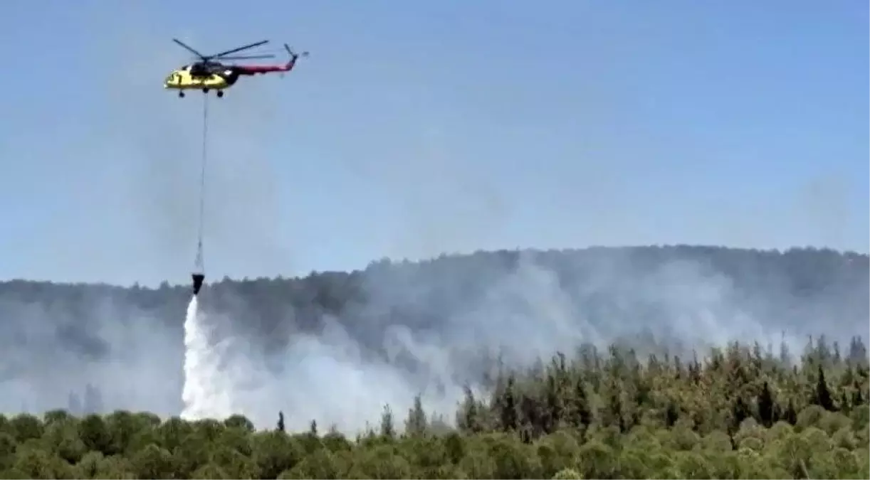 Çanakkale'de Orman Yangınına Hızlı Müdahale