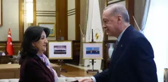 Cumhurbaşkanı Erdoğan: DEM Parti heyetini bu hafta kabul edeceğim