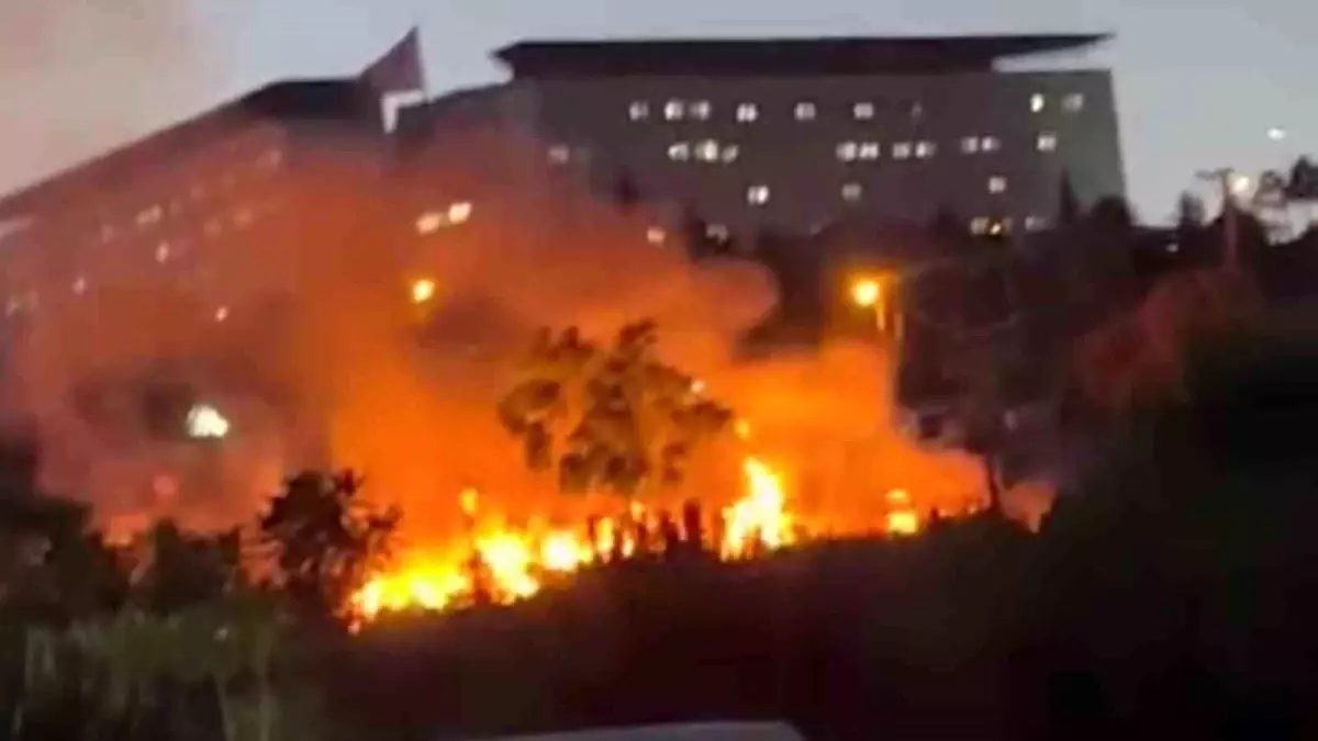 Darıca Millet Bahçesi'nde Yangın