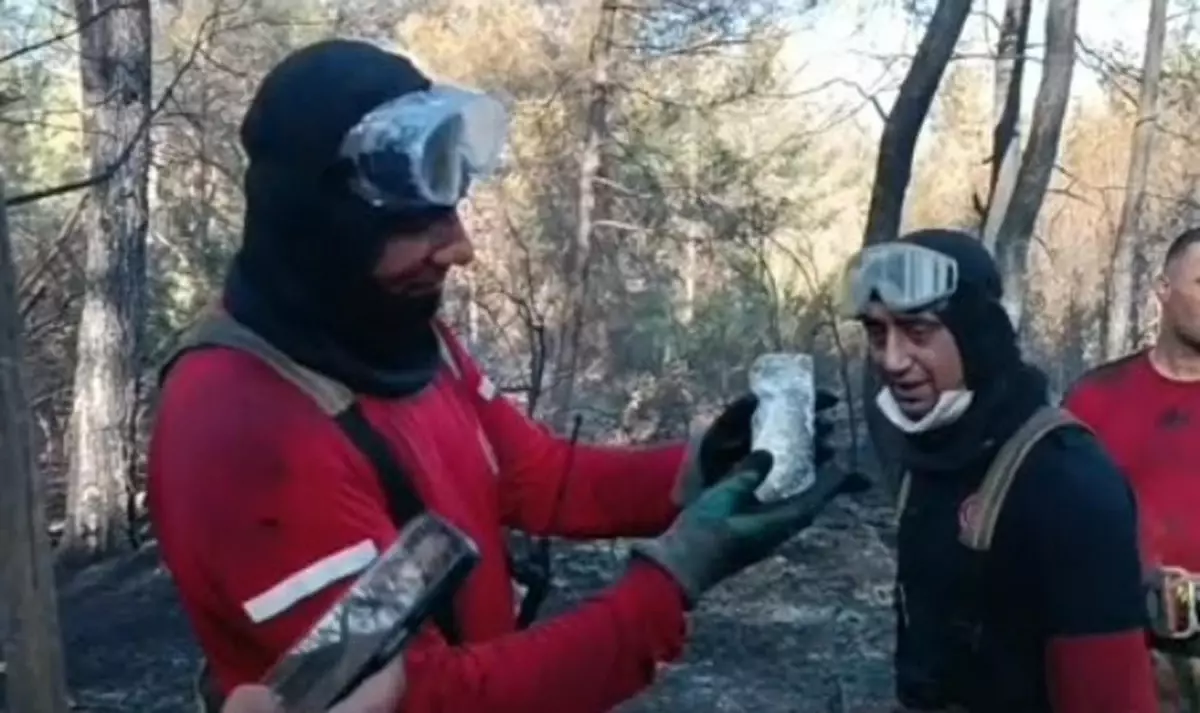 Orman Yangınında Can Çekişen Balık Kurtarıldı