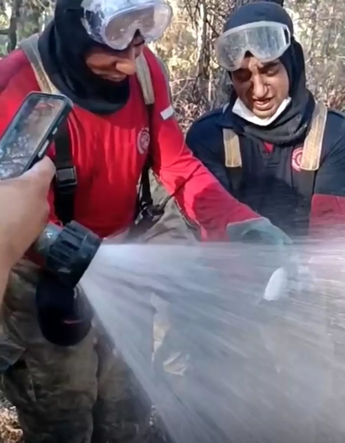 İzmir'de Orman Yangınında Canlı Bulunan Balık Kurtarıldı