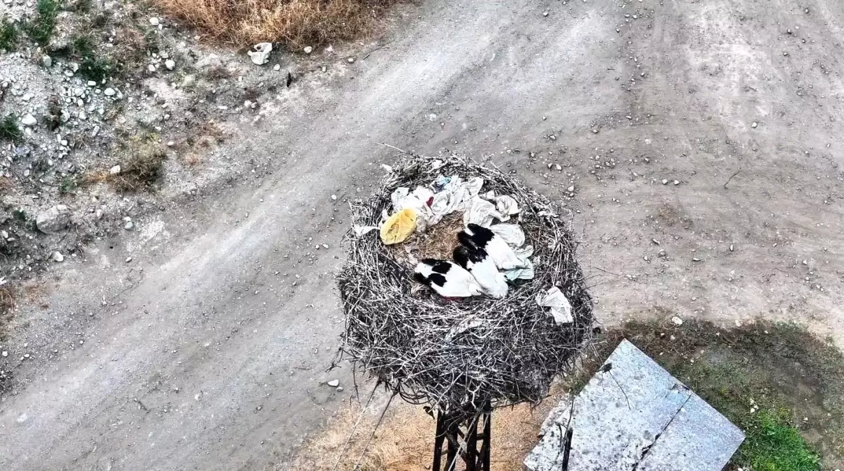 Boyabat'ta Leylek Ailesinin Huzurlu Anları Dronla Görüntülendi