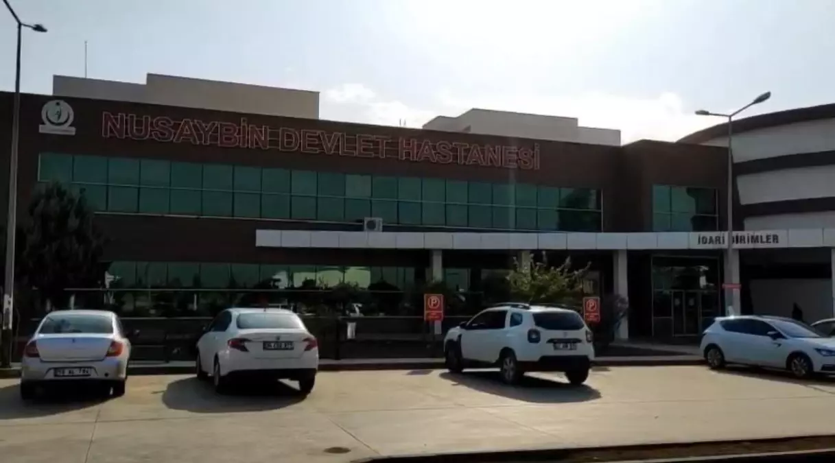 Nusaybin'de Trafik Kazası: 69 Yaşındaki Adam Hayatını Kaybetti