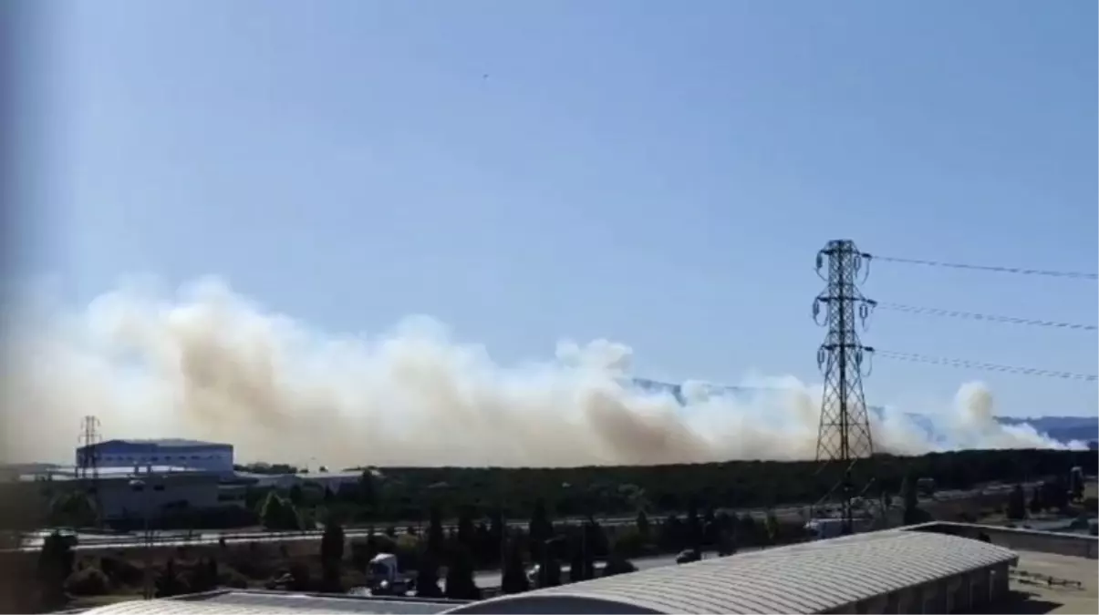 Tuzla'da Otluk Alanda Yangın Kontrol Altına Alındı