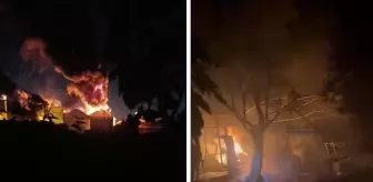 Yalova'da tarım işletmesinde yangın! 2 itfaiyeci yaralandı