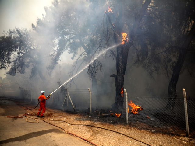 Burnt forests left behind by the fires! Here are the heartbreaking images