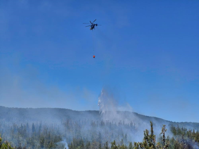 Burnt forests left behind by the fires! Here are the heartbreaking images