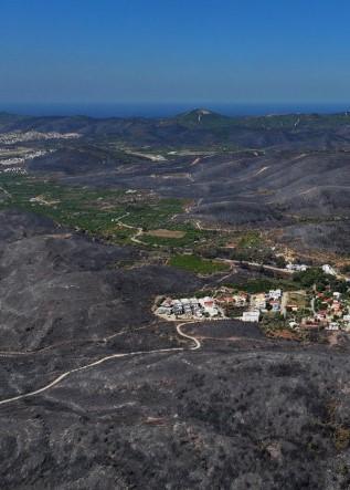 Burnt forests left behind by the fires! Here are the heartbreaking images