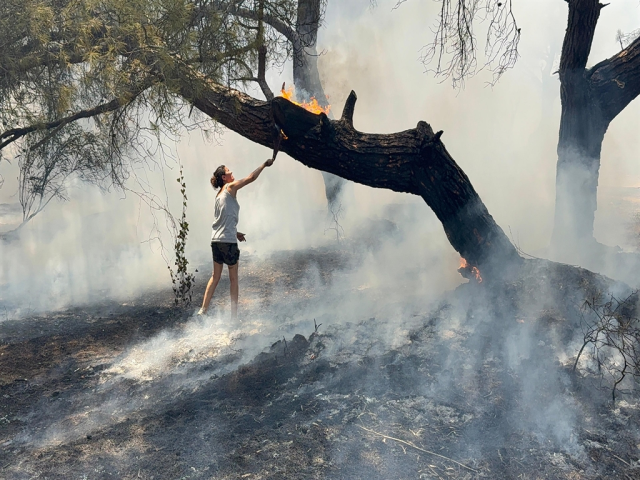 Burnt forests left behind by the fires! Here are the heartbreaking images