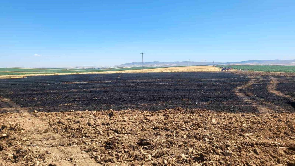 Eskişehir'de Tarım Arazisinde Yangın Çıktı