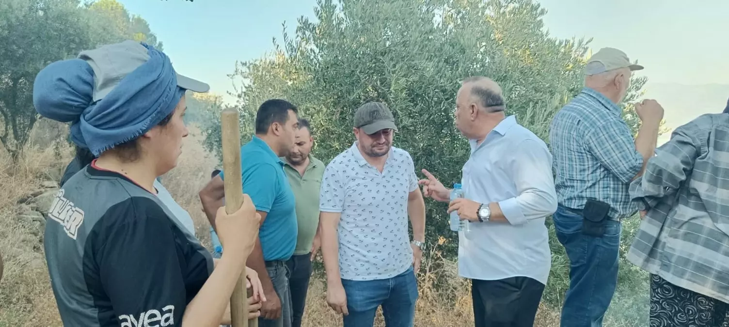 Aydın Bozdoğan'da Orman Yangını Kontrol Altına Alınmaya Çalışılıyor