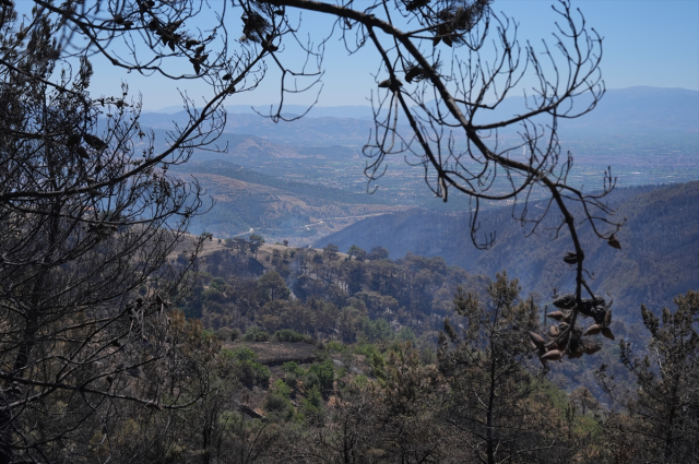 Minister Yerlikaya in the fire zone: 228 houses severely damaged