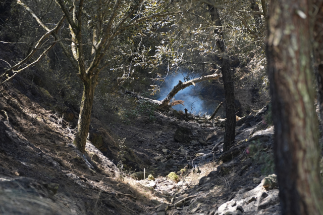 Minister Yerlikaya in the fire zone: 228 houses severely damaged