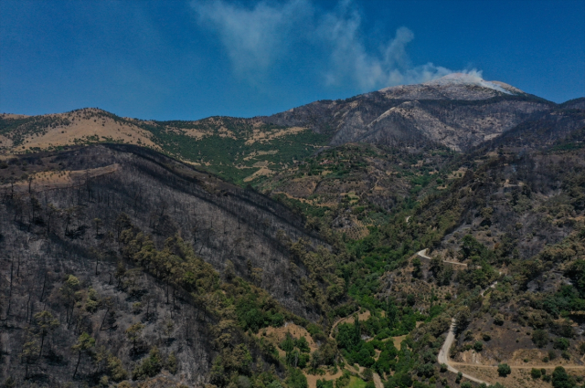 Minister Yerlikaya in the fire zone: 228 houses severely damaged