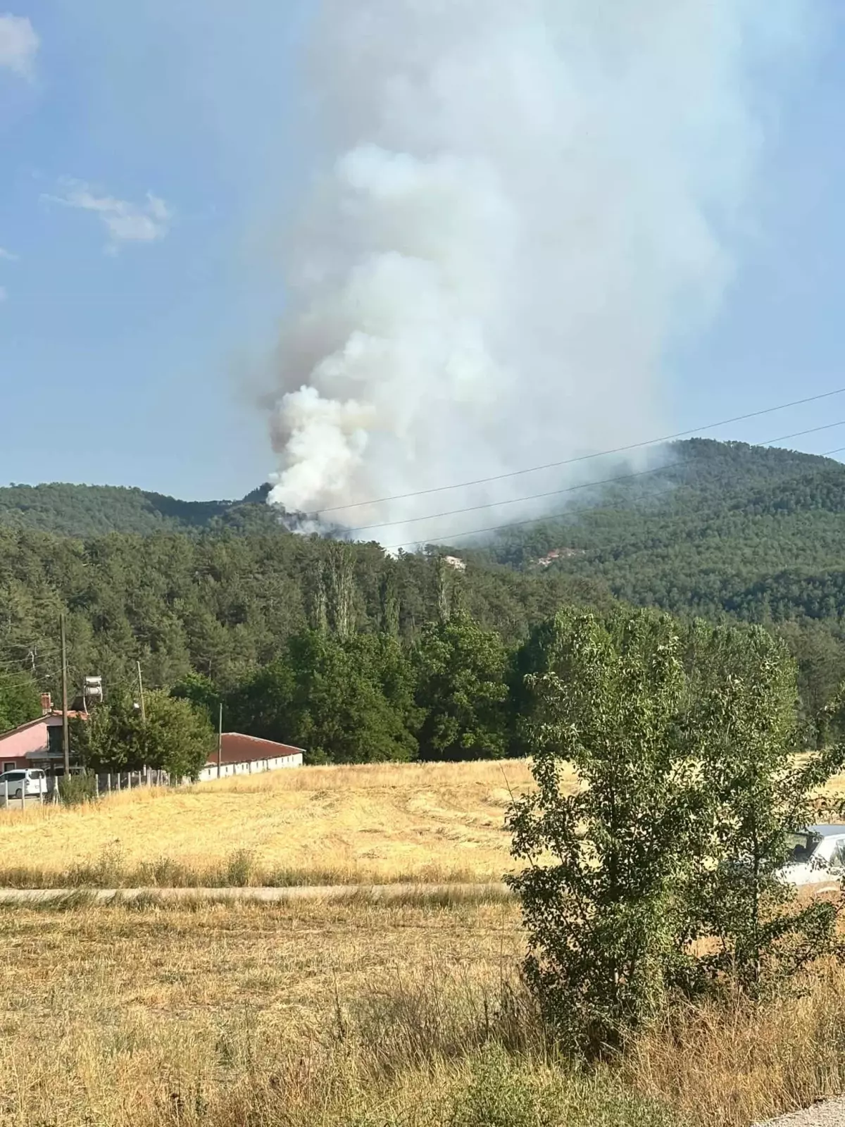 Bolu'da Orman Yangınına Hızla Müdahale Ediliyor