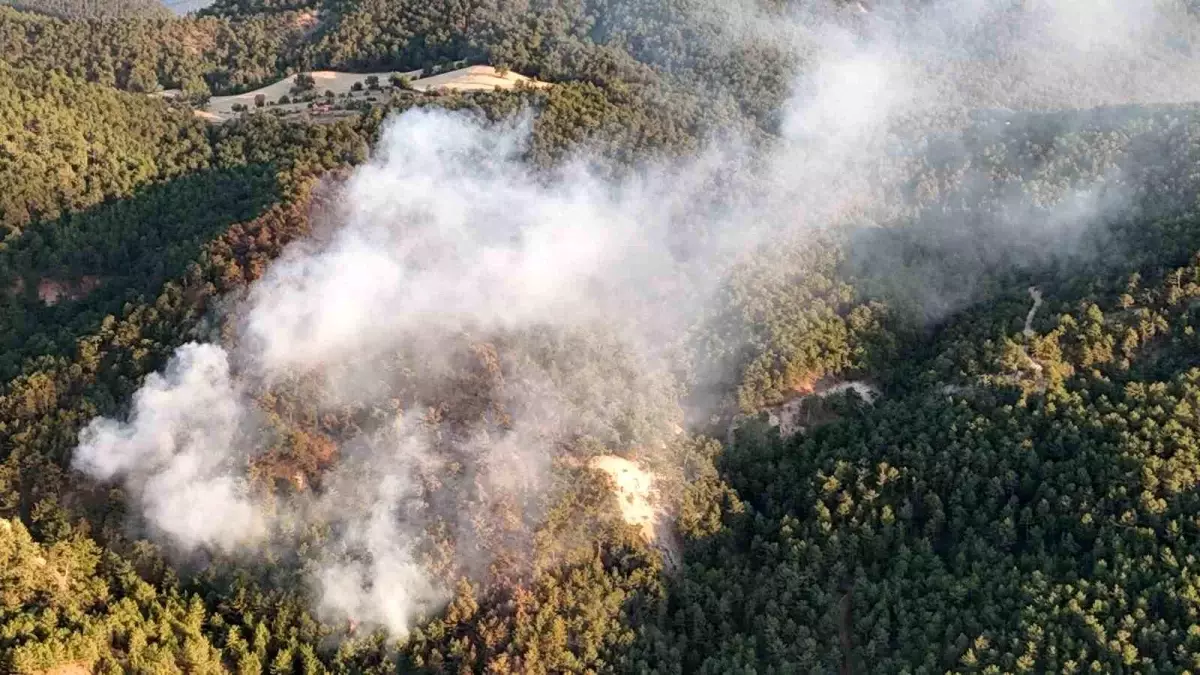 Bolu'da Orman Yangını Kontrol Altına Alındı