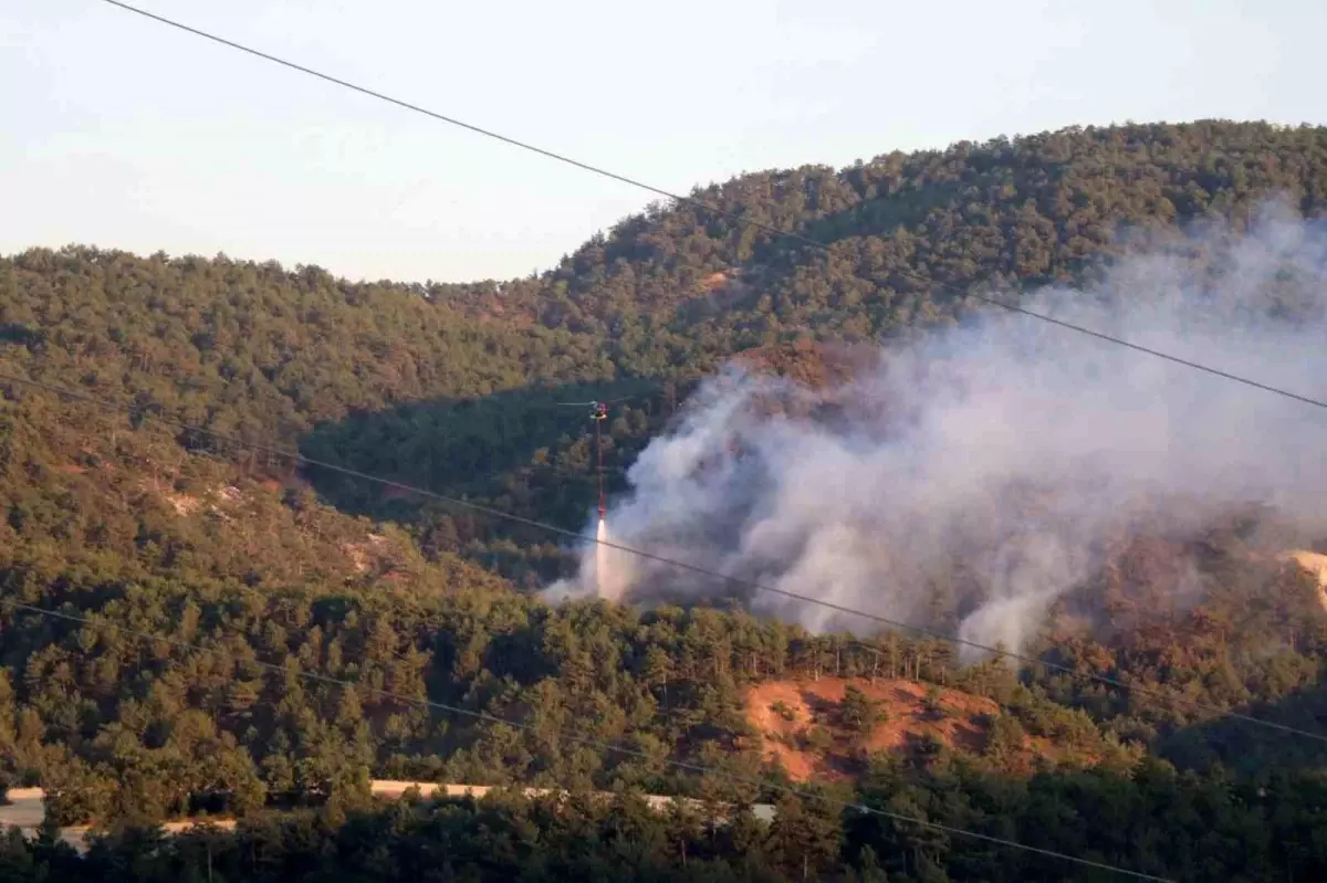 Bolu Göynük'te Orman Yangınına Müdahale Devam Ediyor