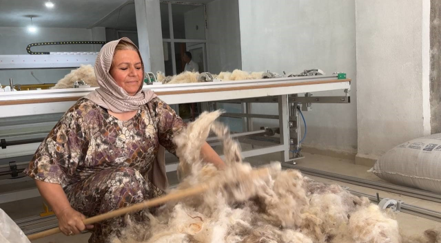 She started a business with the wool she collected from the trash