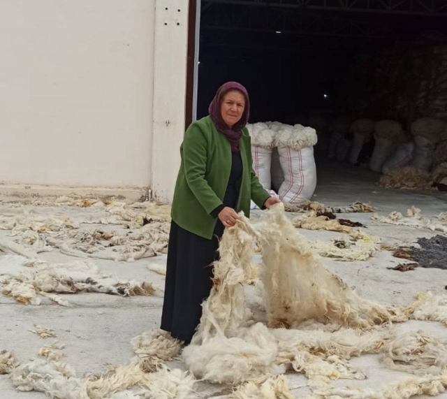She started a business with the wool she collected from the trash