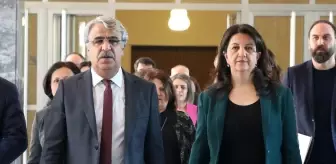 DEM Parti'nin İmralı görüşmesi sona erdi