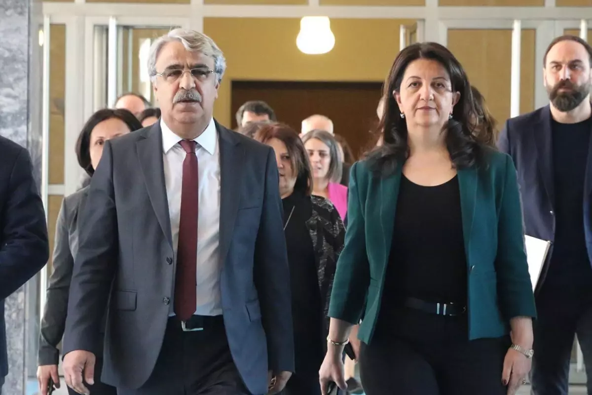 DEM Parti'nin İmralı görüşmesi sona erdi