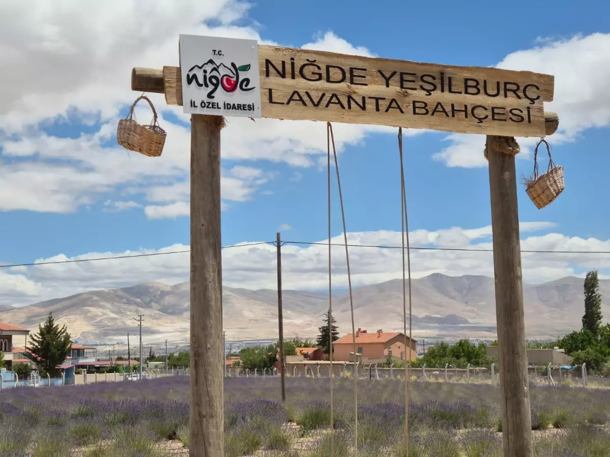 Lavanta Bahçesi ile Yeşilbuç Köyü Turizm Merkezi Haline Geldi