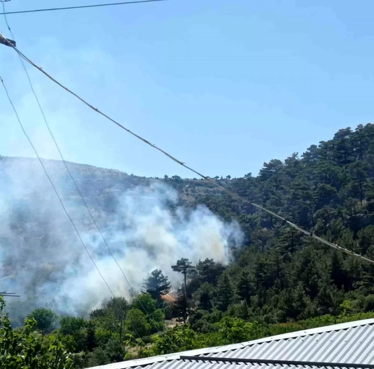 Mersin'in Mut ilçesinde orman yangını kontrol altına alındı