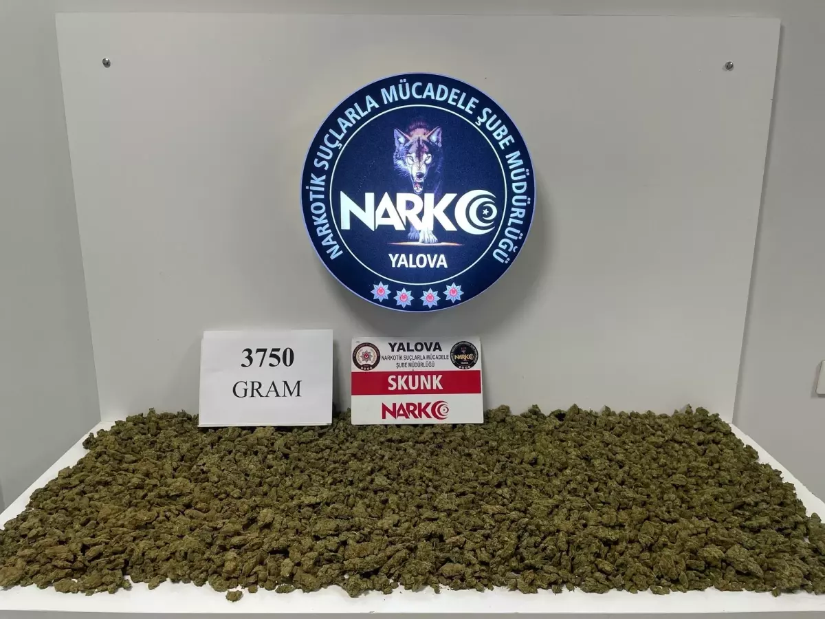 Yalova'da Motosiklet Sürücüsünde 3 Kilo 750 Gram Uyuşturucu Ele Geçirildi