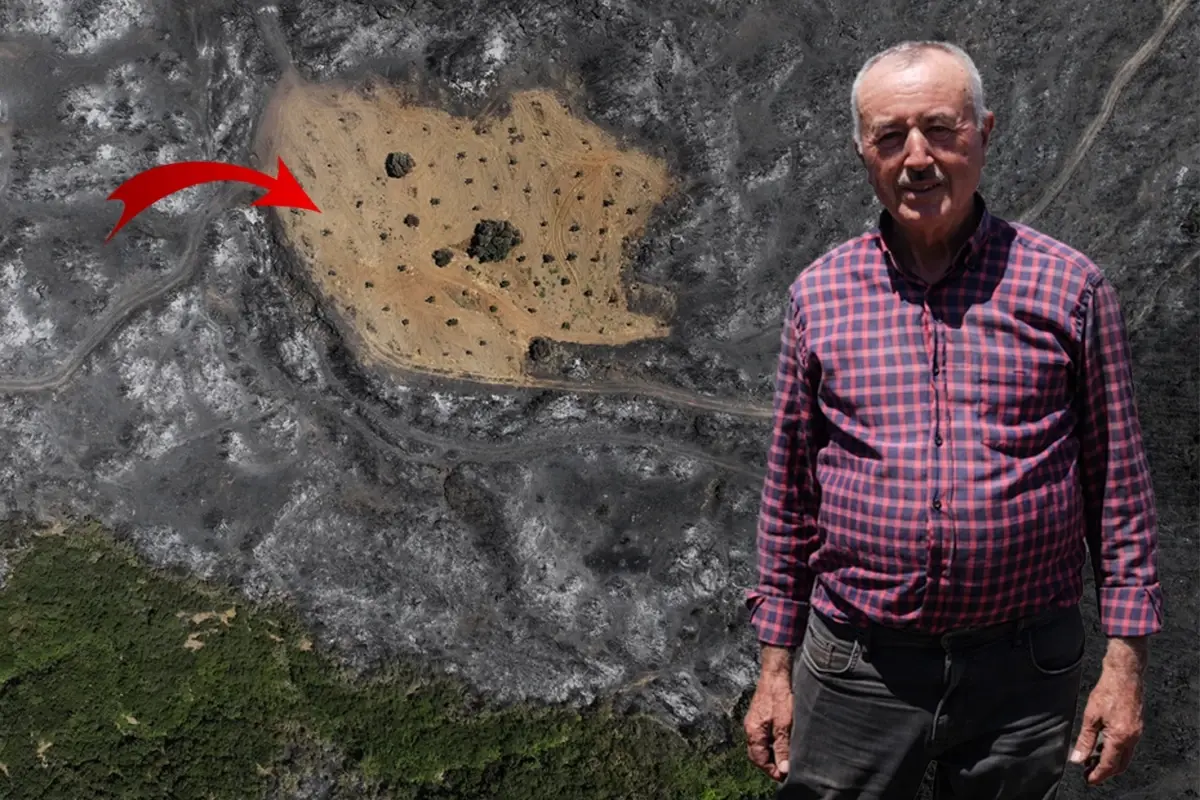 Ödemiş'te şaşırtan görüntü! Bir tek Ahmet Türk'ün arsası yanmadı