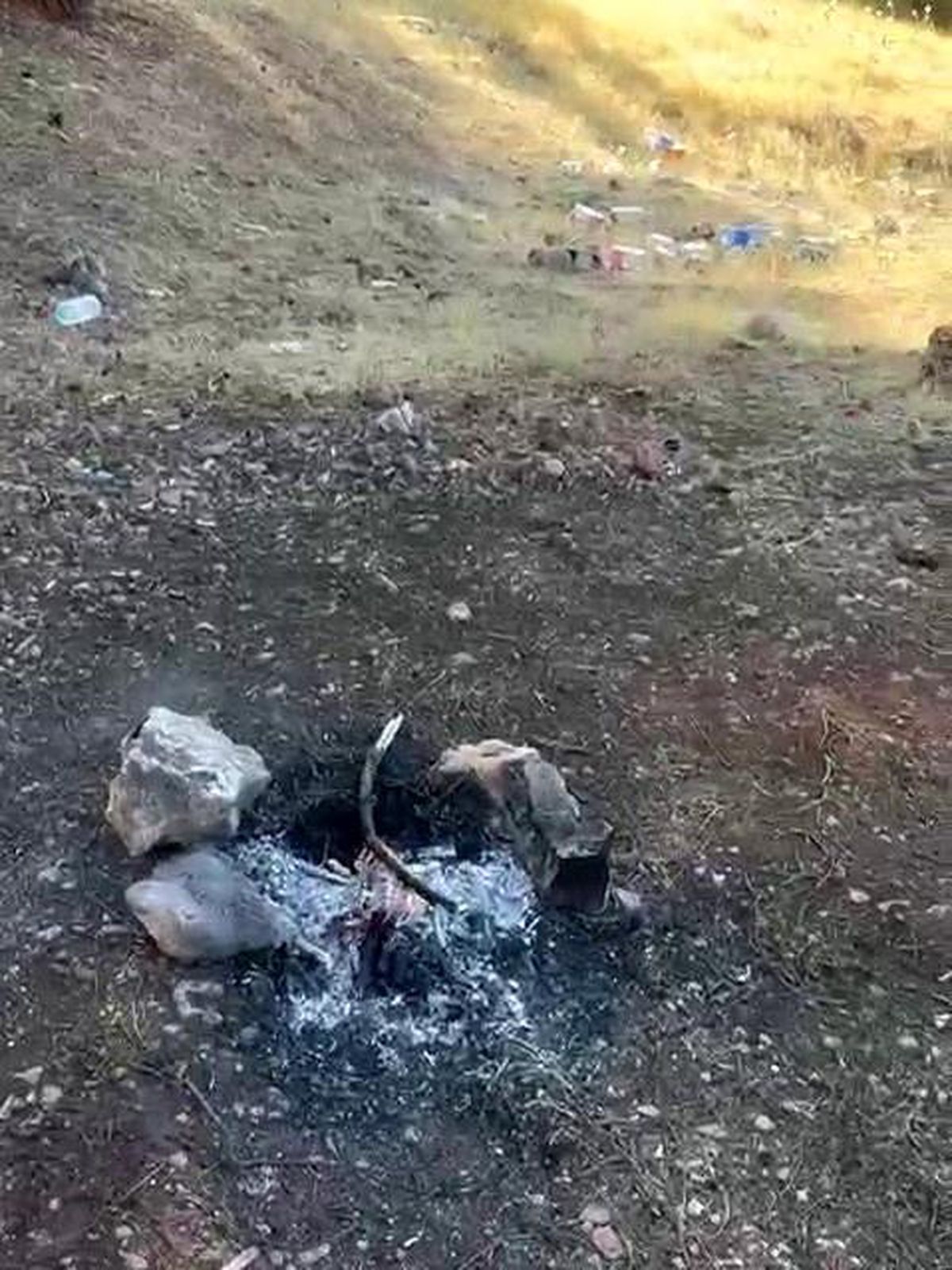 Adıyaman'da Piknik Ateşi Ormanı Tehlikeye Soktu