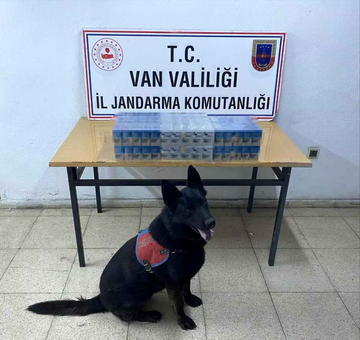 Van'da Kaçak Sigara ve Elektronik Malzeme Operasyonu: 10 Şüpheli Yakalandı