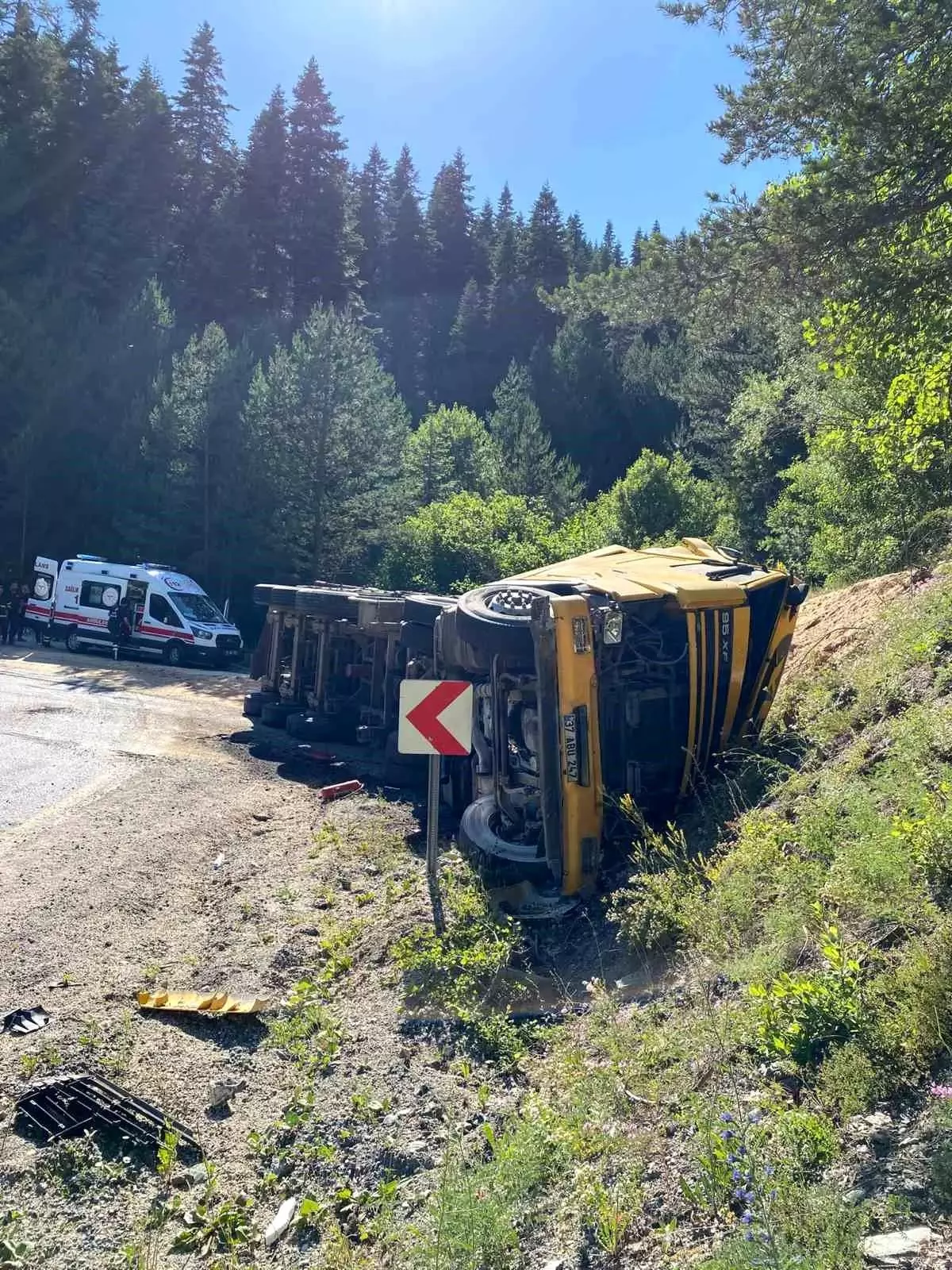 Kastamonu'da Talaş Yüklü Tır Devrildi: 2 Yaralı