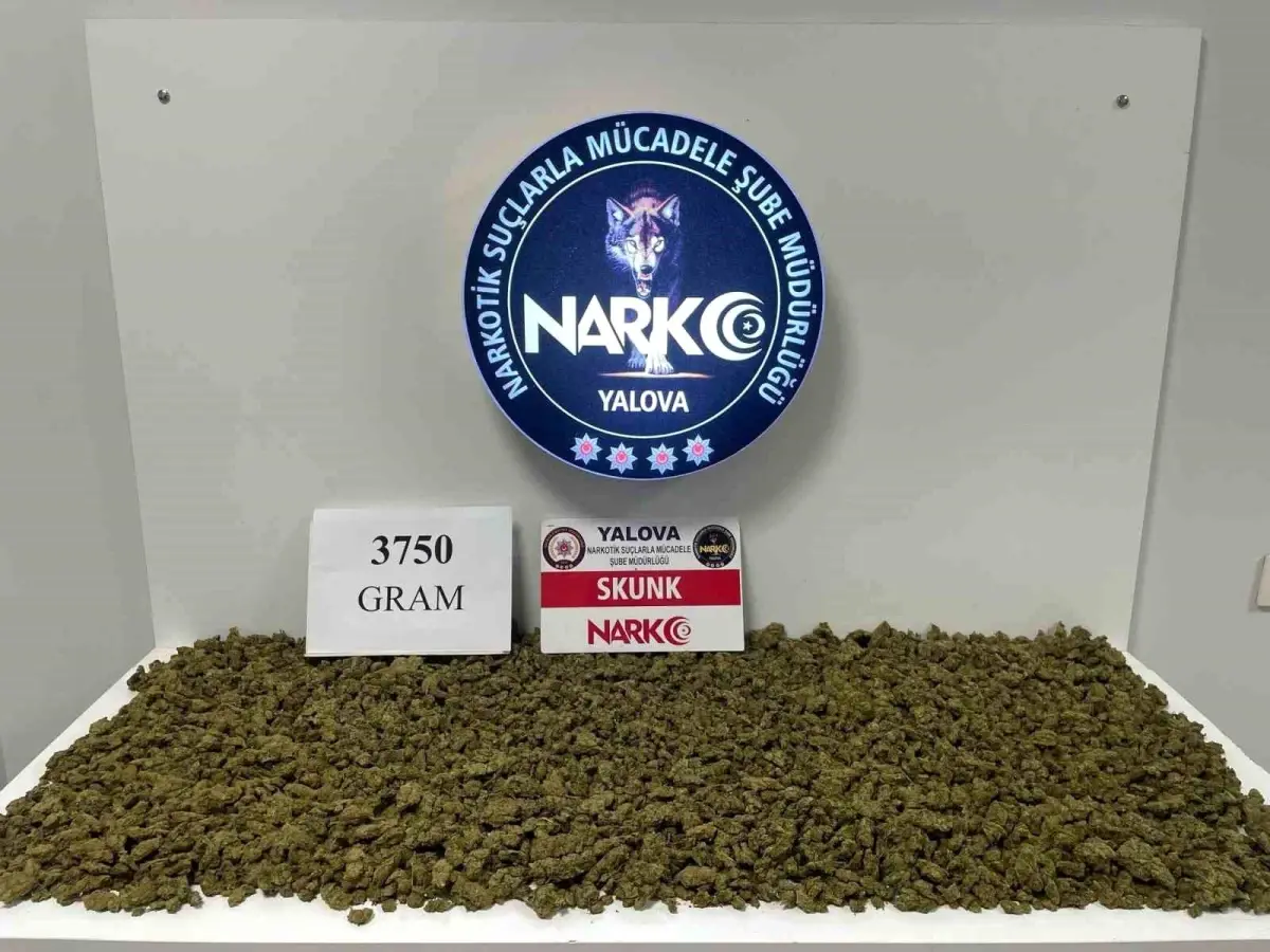 Yalova'da Uyuşturucu Operasyonu: 3 Kilo 750 Gram Skunk Ele Geçirildi