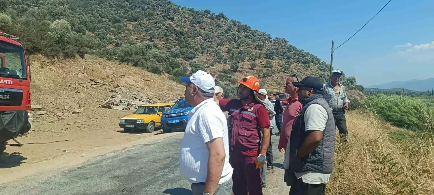 Aydın'da Zeytinlik ve Makilik Alanda Yangın Çıktı