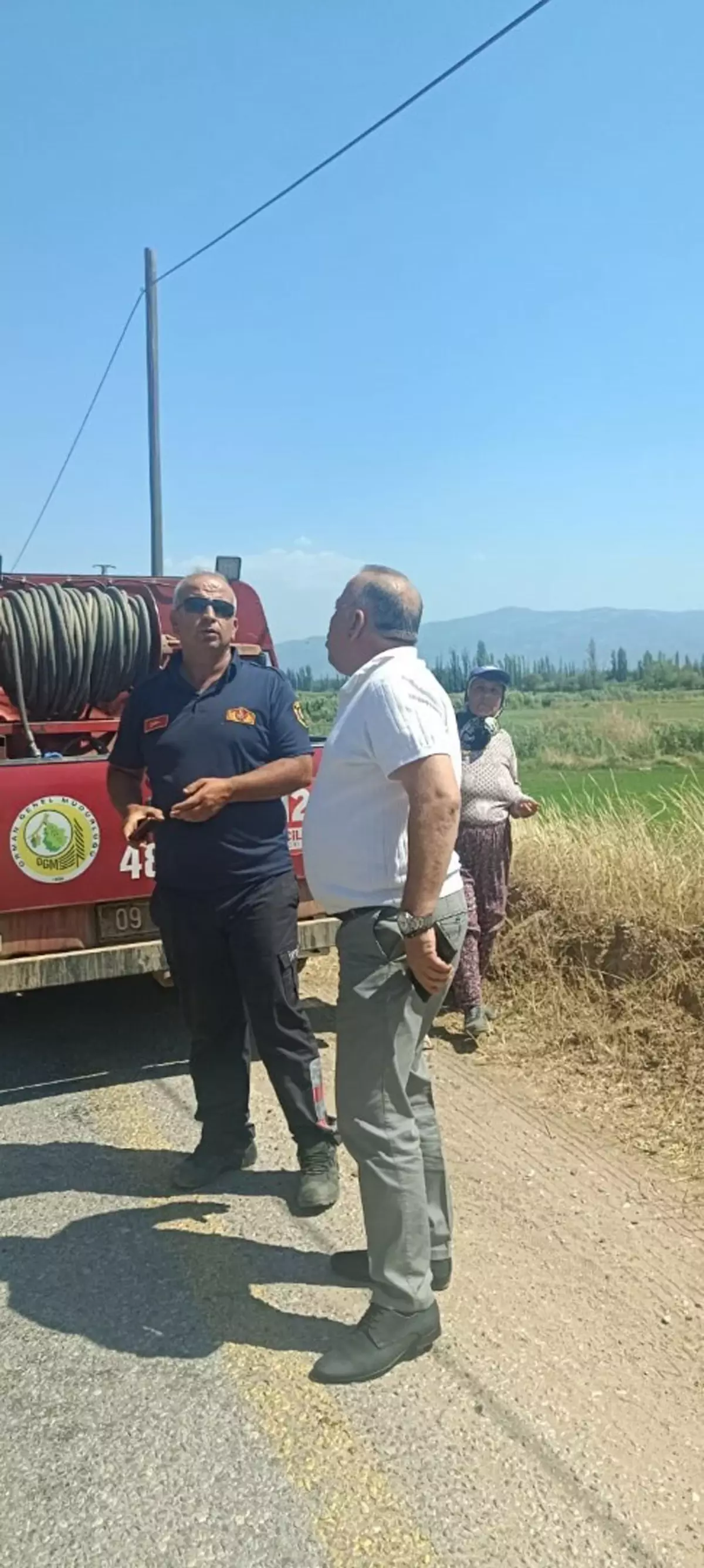 Bozdoğan'da Zeytinlikte Yangın: 2 Hektar Alan Zarar Gördü