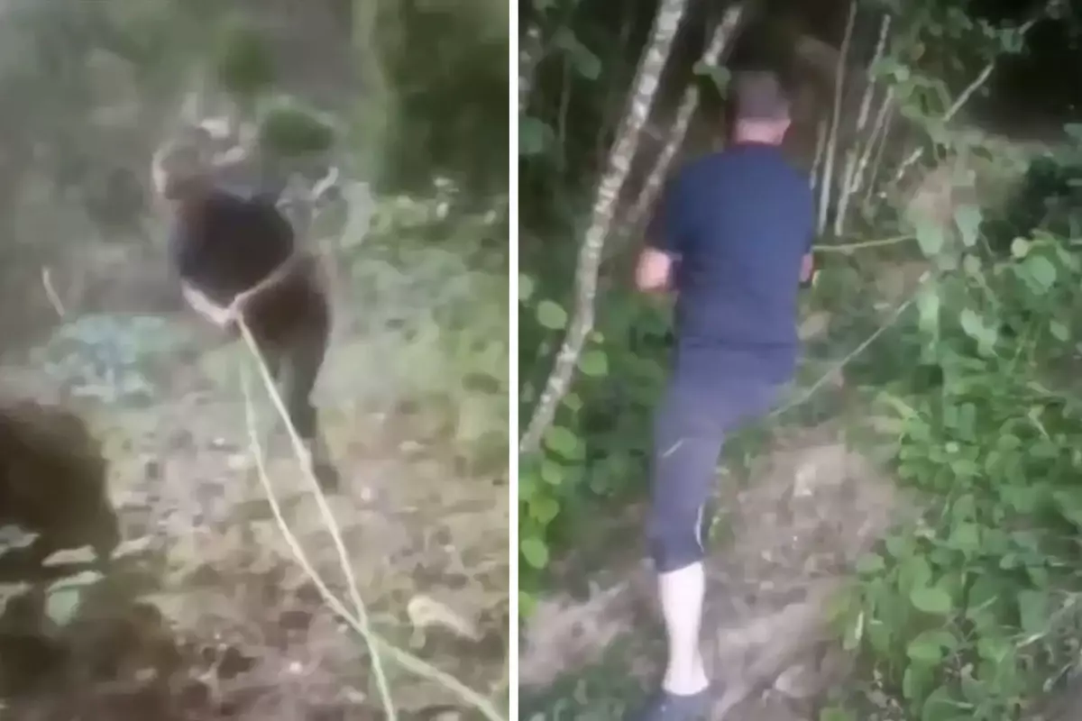 Bahçesini sulamak için içme suyu hattını deldi